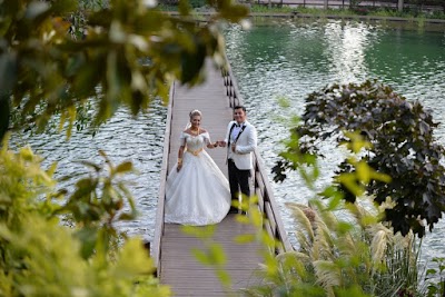 Güney Kamera ve Fotoğrafçılık