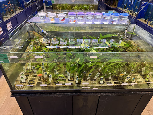 Aquatic Wildlife Co Gallery - United States