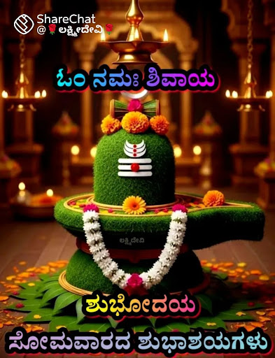 50+ Yrs Exp. Certified. 5+ Rated. 9+ Awards. Om Sri Sai Astrologer in Bangalore. Ex Love, Bf Gf P… post image
