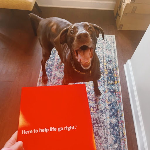 Morgan Hedderich - State Farm Insurance Agent - Thumbnail