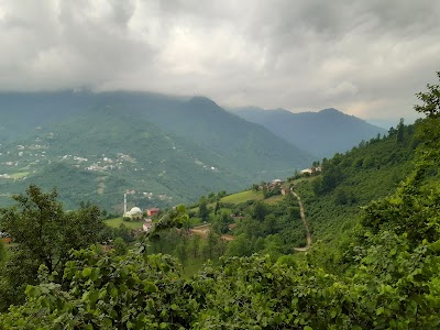 Yedi Degirmenler Tabiat Parkı Çay Evi