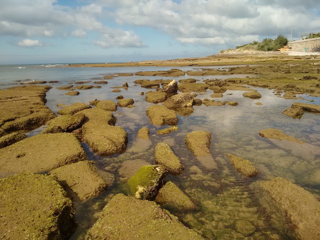 Praia de Carcavelos