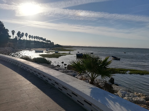 Beach Cachucha - Visual