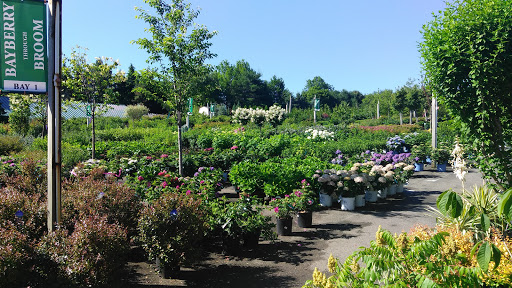 Corliss Brothers Garden Center and Nursery - Thumbnail
