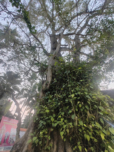 Malayinkeezhu Temple Vilwamangalath Swamiyaar Legacy