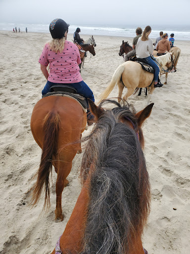 Oregon Beach Rides - Thumbnail