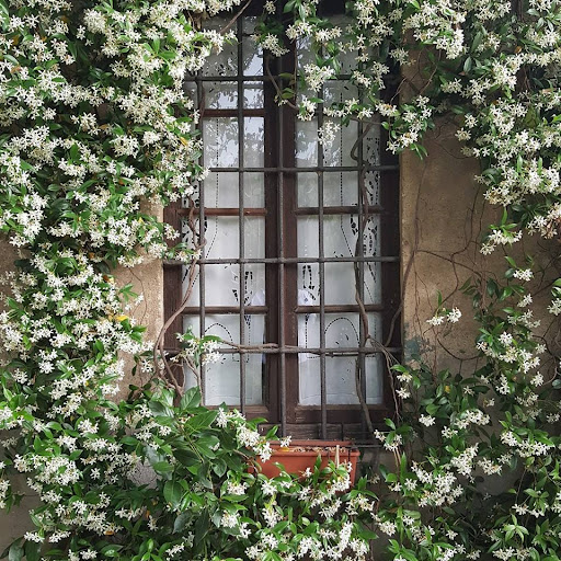 Borgo Archinto - Visual