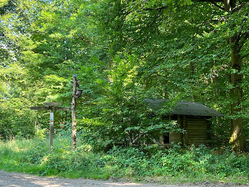 NaturFlowTrail MTB R4 "Lindwurm" - Thumbnail