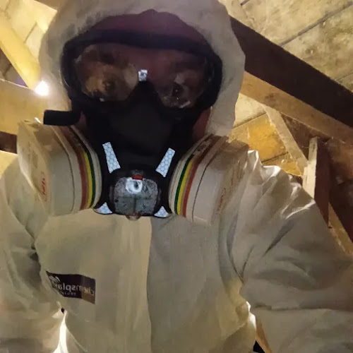 Elite Pest Control Glasgow Phone number