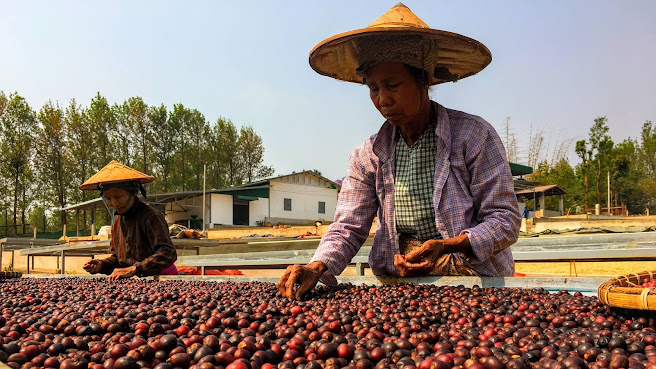 Akhanay Coffee Roasters by null