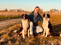 Educateur Comportemental Canin LouLoup.Addict à Cardan