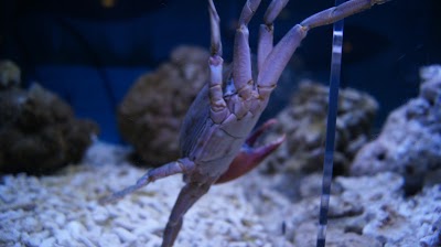 Photos of Beijing Aquarium