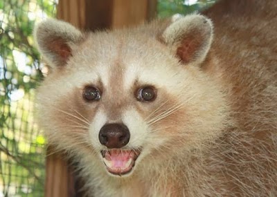 Photos of Kowiachobee Animal Preserve