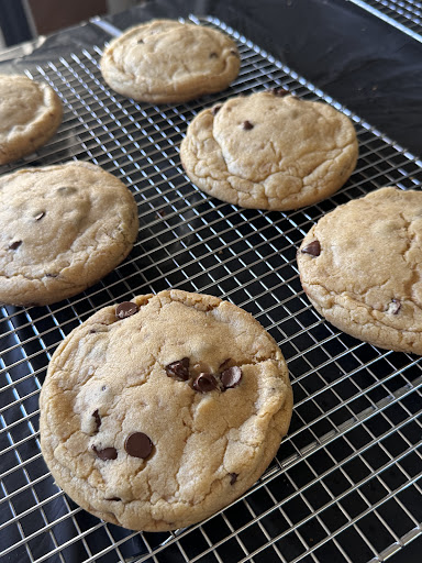 Part Rust Bakes - Visual
