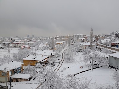 Laleli Yeşil Cami