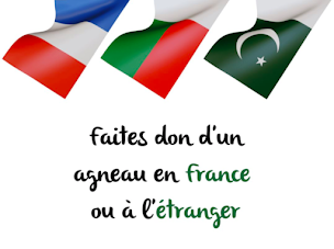 Photo n°32 de Allo Mouton à La Courneuve (Service d'e-commerce)