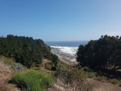 Photos of Playas Del Sur Hostel