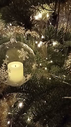 Photo n°4 de Agence immobilière Guy Hoquet JAUNAY MARIGNY à Jaunay-Marigny (Agence de location immobilière)