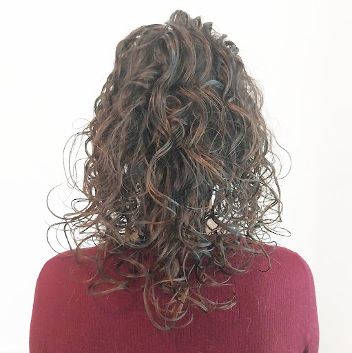 Curlyrizos - Visual
