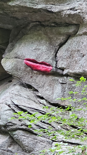 Rattlesnake Gutter Conservation Area Trail Head - Thumbnail