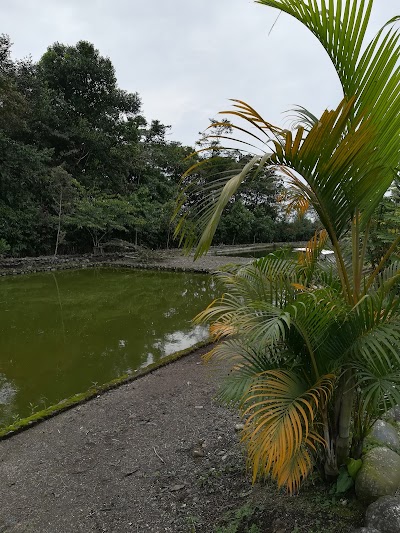 Photos of Finca "El Ca&ntilde;averal"