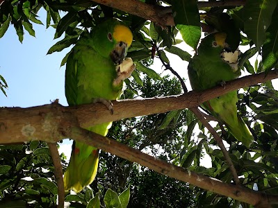 Photos of Las Rejas