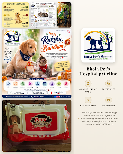 Bhola Pet's Hospital pet clinic offers compassionate veterinary care and comprehensive services.… post image