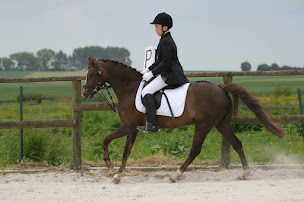 Photo n°5 de PON'EOZ à Saint-Nicolas-des-Bois (Centre équestre)