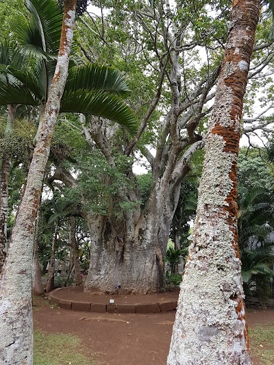 Photos of Botanischer Garten Mauritius