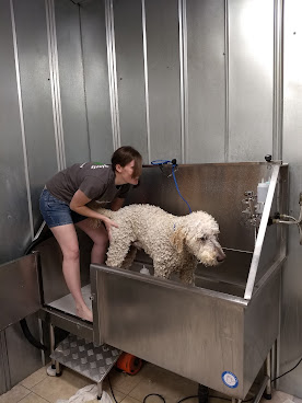 Creature Comforts by null