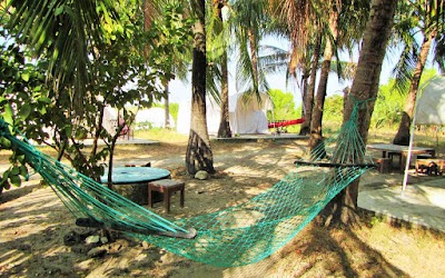 Photos of Music Eco Resort