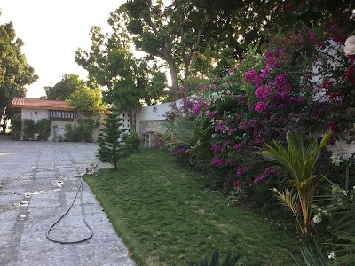 Photos of Le Florio