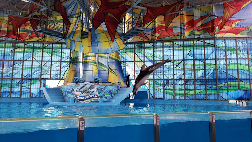 Aquatica San Antonio - Thumbnail