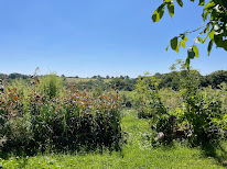 La Ferme Des Caurets à La Cellette