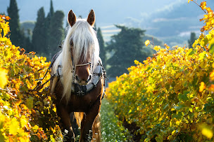 Photo n°1 de Deprad Travaux Agricoles à La Cadière-d'Azur (Entreprise de terrassement)