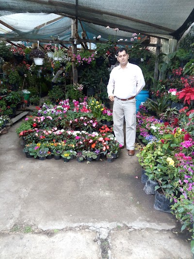 Photos of Mercados Surtif&aacute;cil