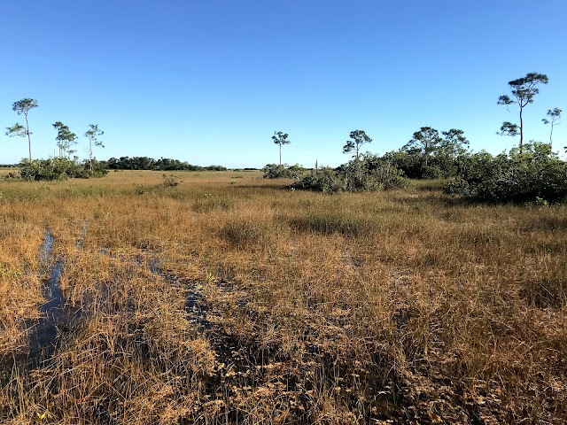 Mahogany Hammock Trail