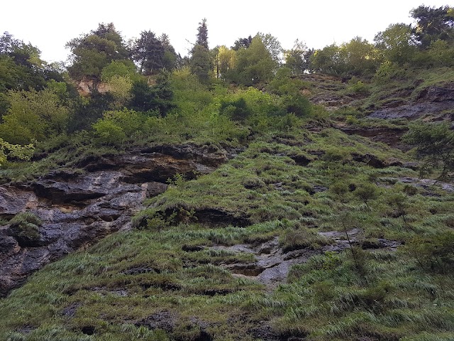 Tiefenbachklamm