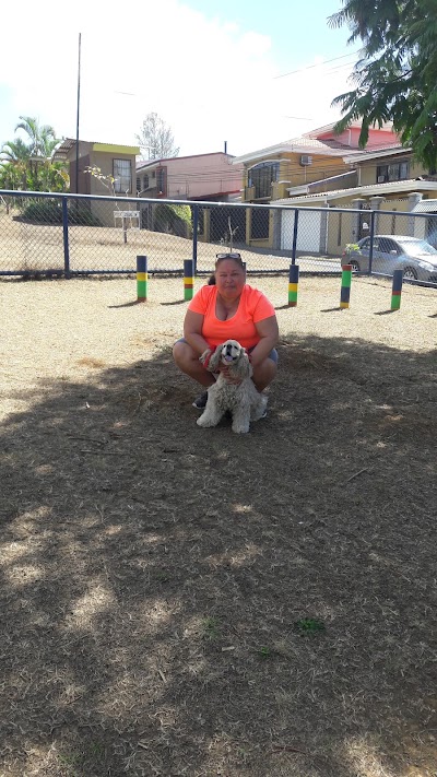 Photos of Dog Park