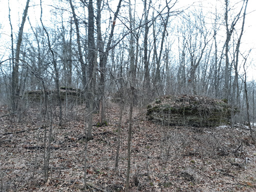 Bowstring Wildlife Area - Visual