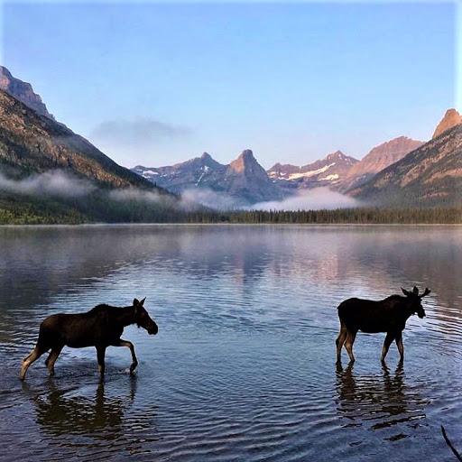 Suzy Gilbert Barnett, Yellowstone Real Estate Group - Thumbnail
