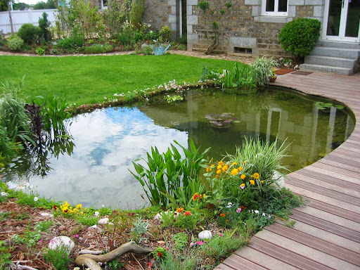 Photo de JCB Aquatique Paysage