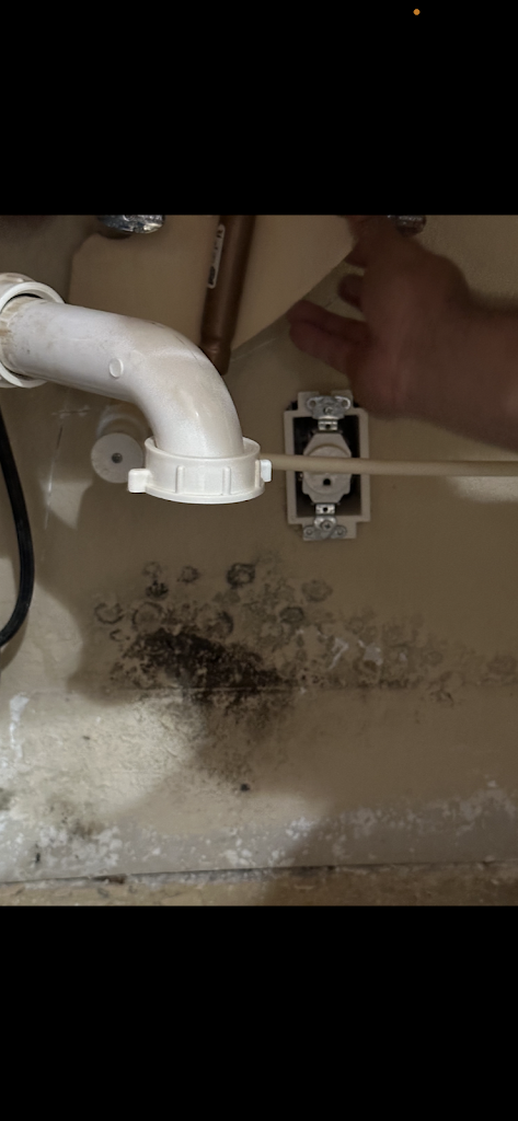 Mold Guys Of SWFL photo