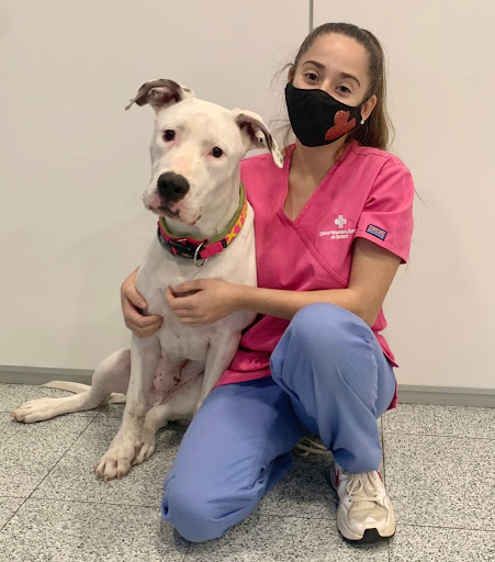 Clínica Veterinària General de Barberà (Veterinario)