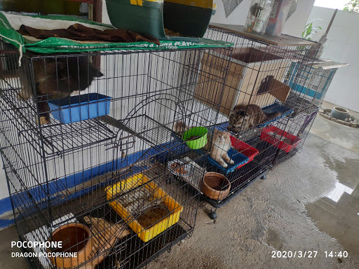 Dragon Pet Care Centre DPCC