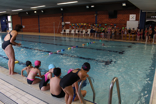 Photo de Communaute Ballons des Hautes Vosges