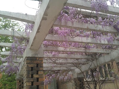 Photos of Tianjin Foreign Studies University