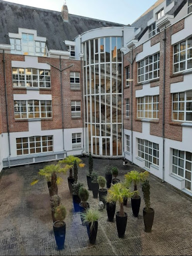 Igefi - School Of Finance Business And Expertise Accounting - Lille - Thumbnail