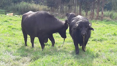 Photos of Valle Verde