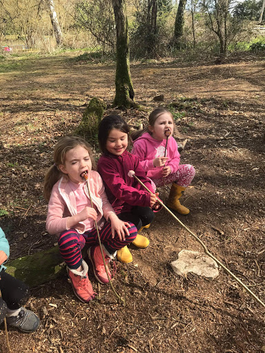 Minibeasts Woodland Explorers Forest School - Thumbnail
